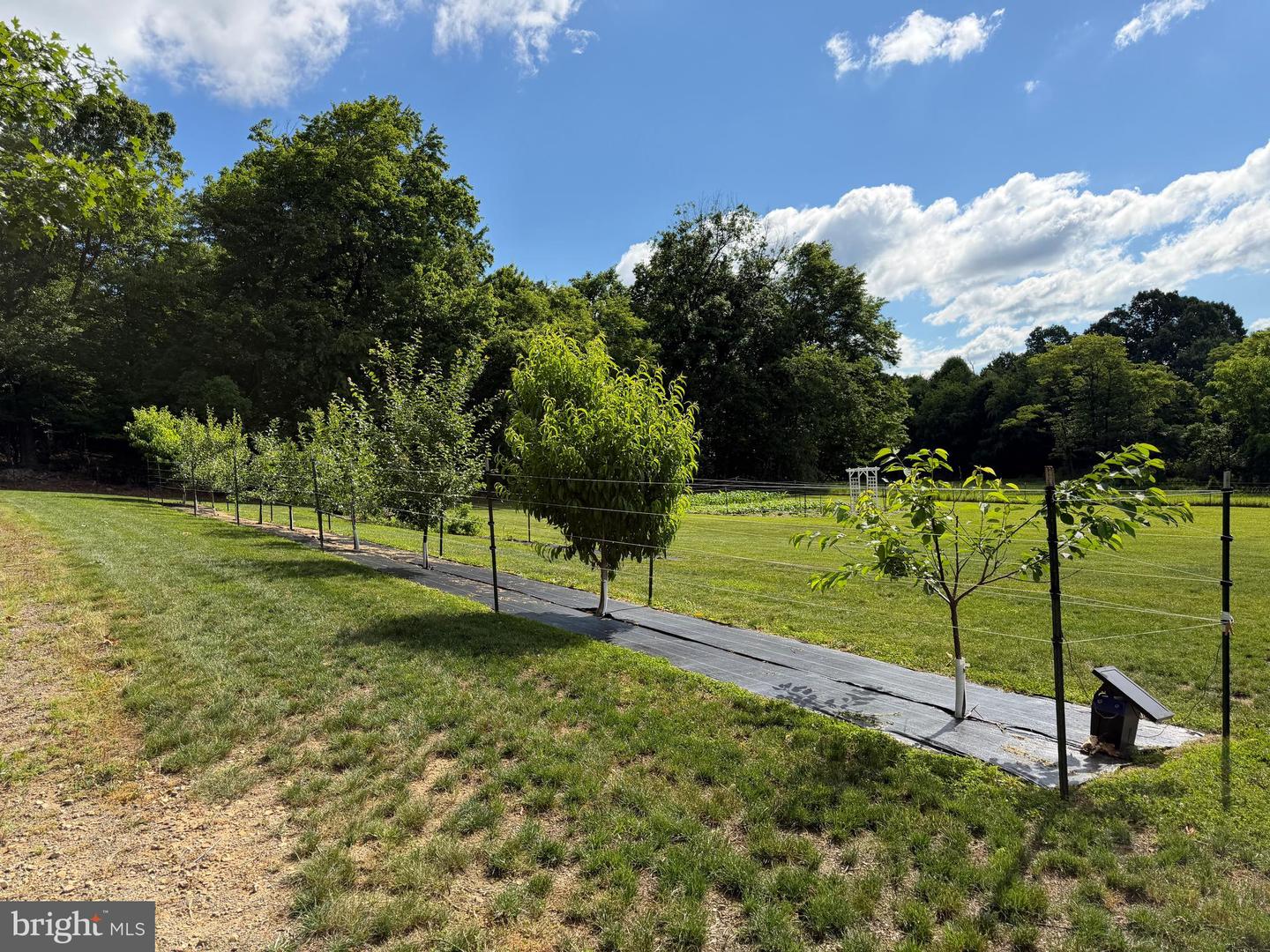 Tract 1: 56+/- Acres At 9611 Circle Drive Property Photo 33