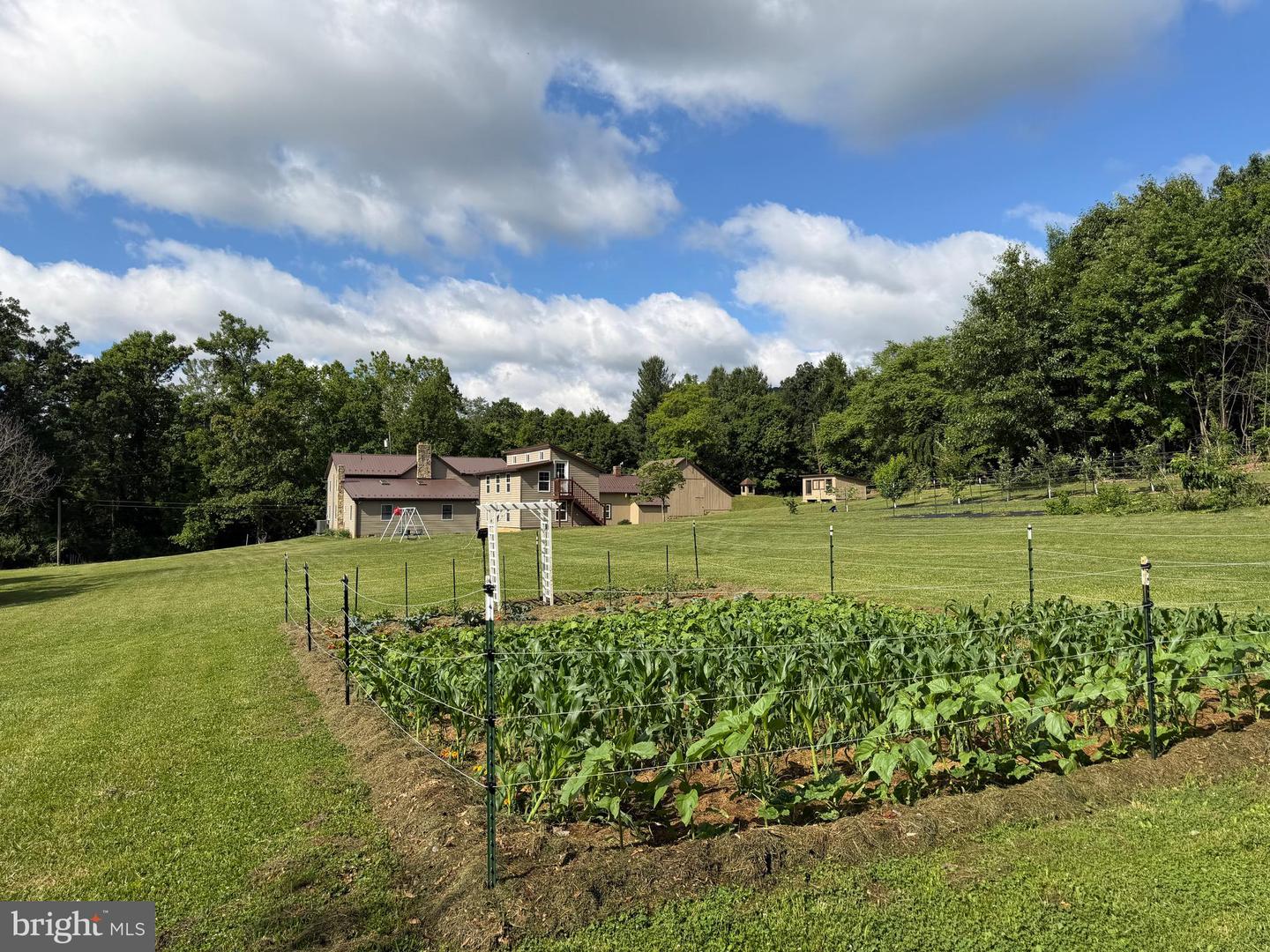 Tract 1: 56+/- Acres At 9611 Circle Drive Property Photo 35