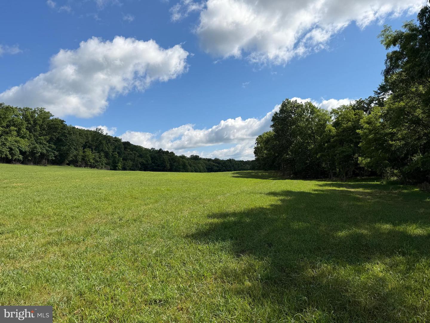 Tract 1: 56+/- Acres At 9611 Circle Drive Property Photo 36