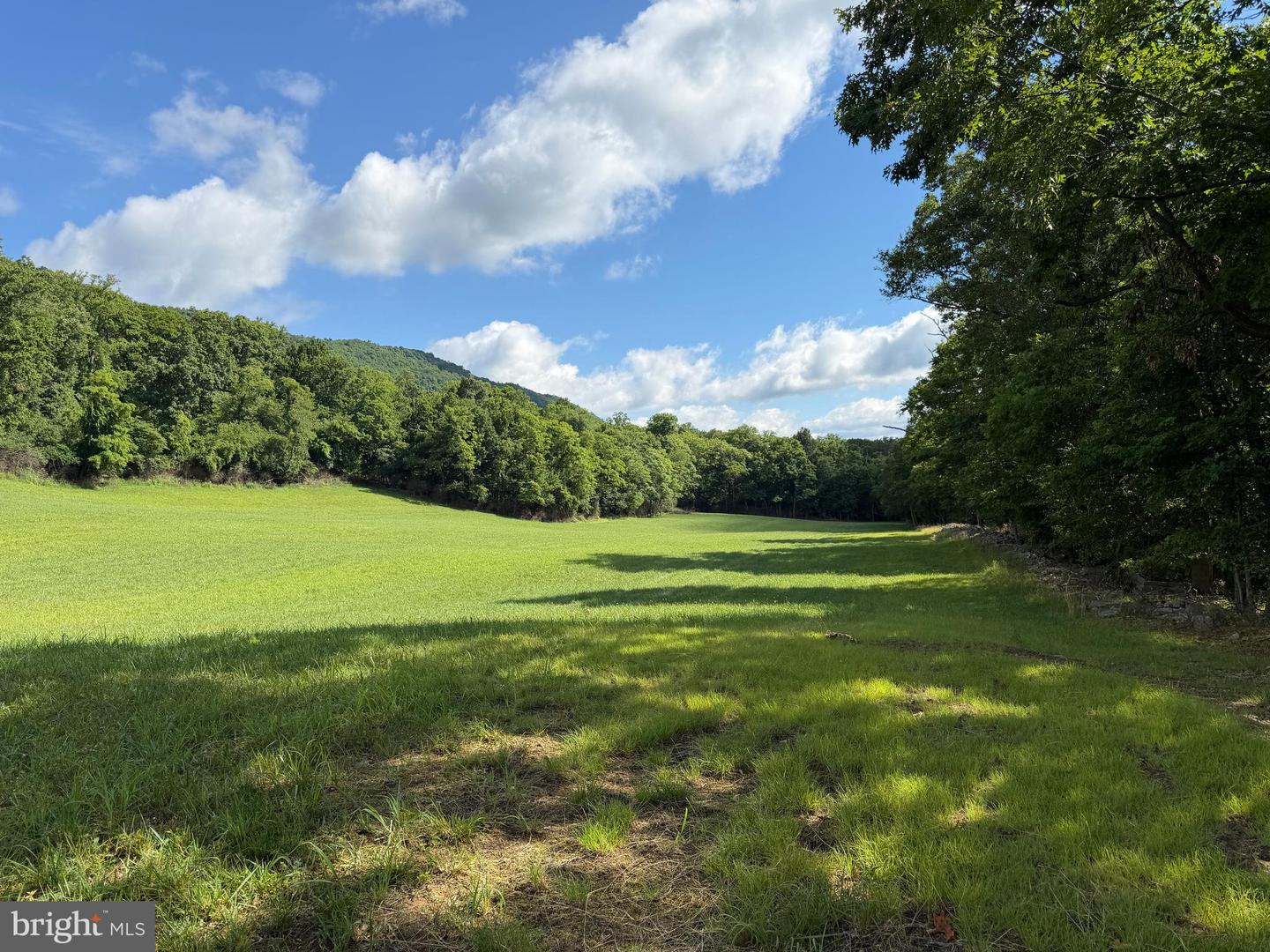 Tract 1: 56+/- Acres At 9611 Circle Drive Property Photo 37