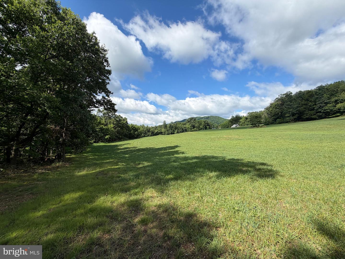 Tract 1: 56+/- Acres At 9611 Circle Drive Property Photo 38
