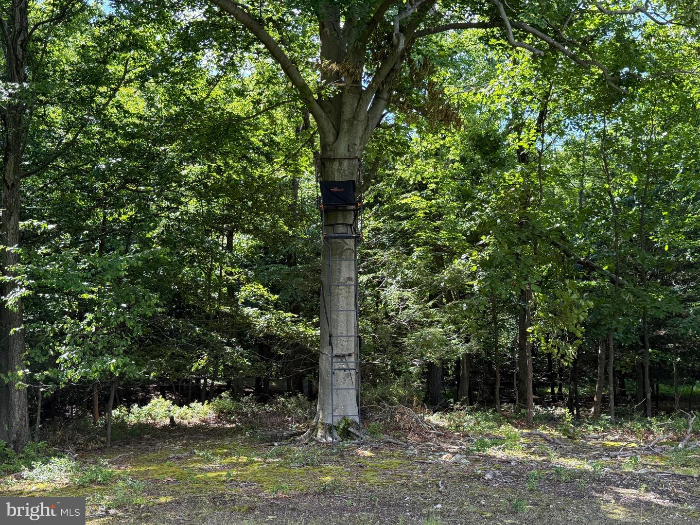 Tract 1: 56+/- Acres At 9611 Circle Drive Property Photo 39