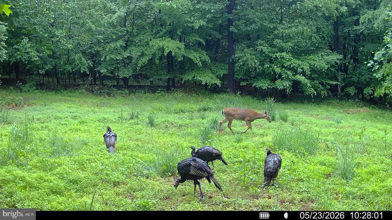 Tract 1: 56+/- Acres At 9611 Circle Drive Property Photo 45