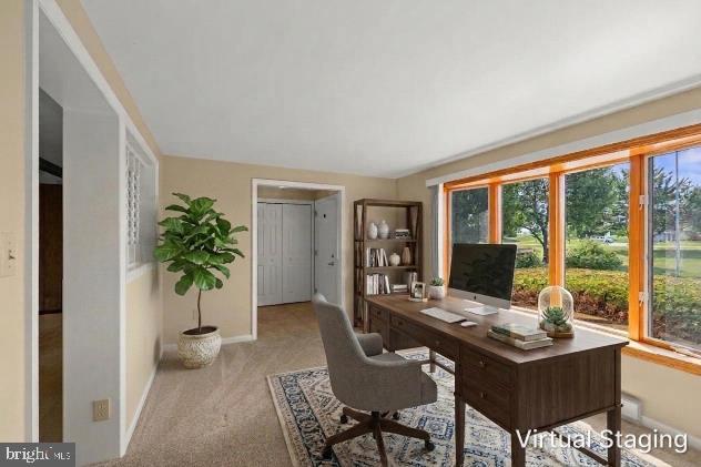 7246 Smith Rd Property Photo 32