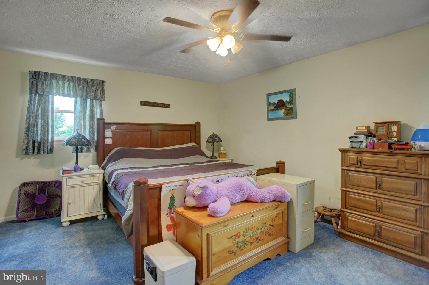 10 Surrey Court Property Photo 33