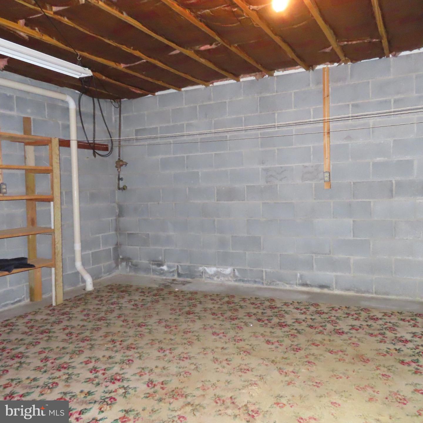 10 Surrey Court Property Photo 56