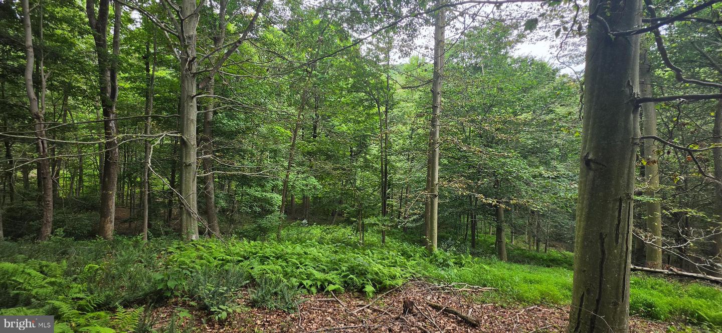 22760 Loop Rd Property Photo 33