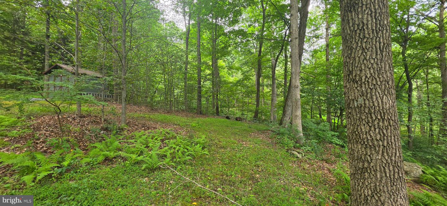 22760 Loop Rd Property Photo 34