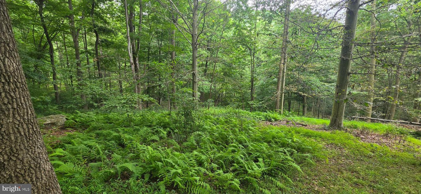 22760 Loop Rd Property Photo 35