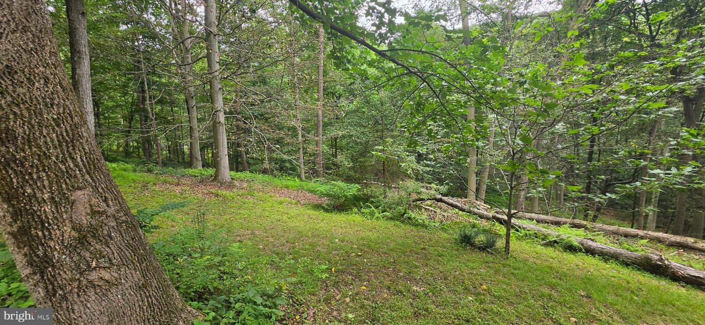 22760 Loop Rd Property Photo 37