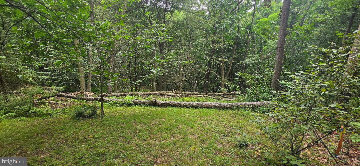 22760 Loop Rd Property Photo 38