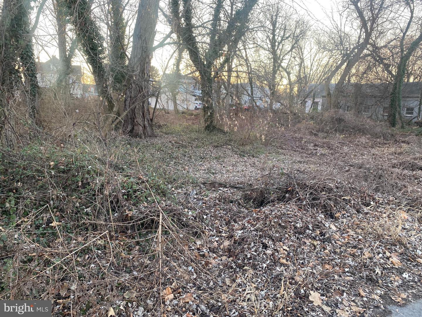 0 Montgomery Avenue Property Photo 1