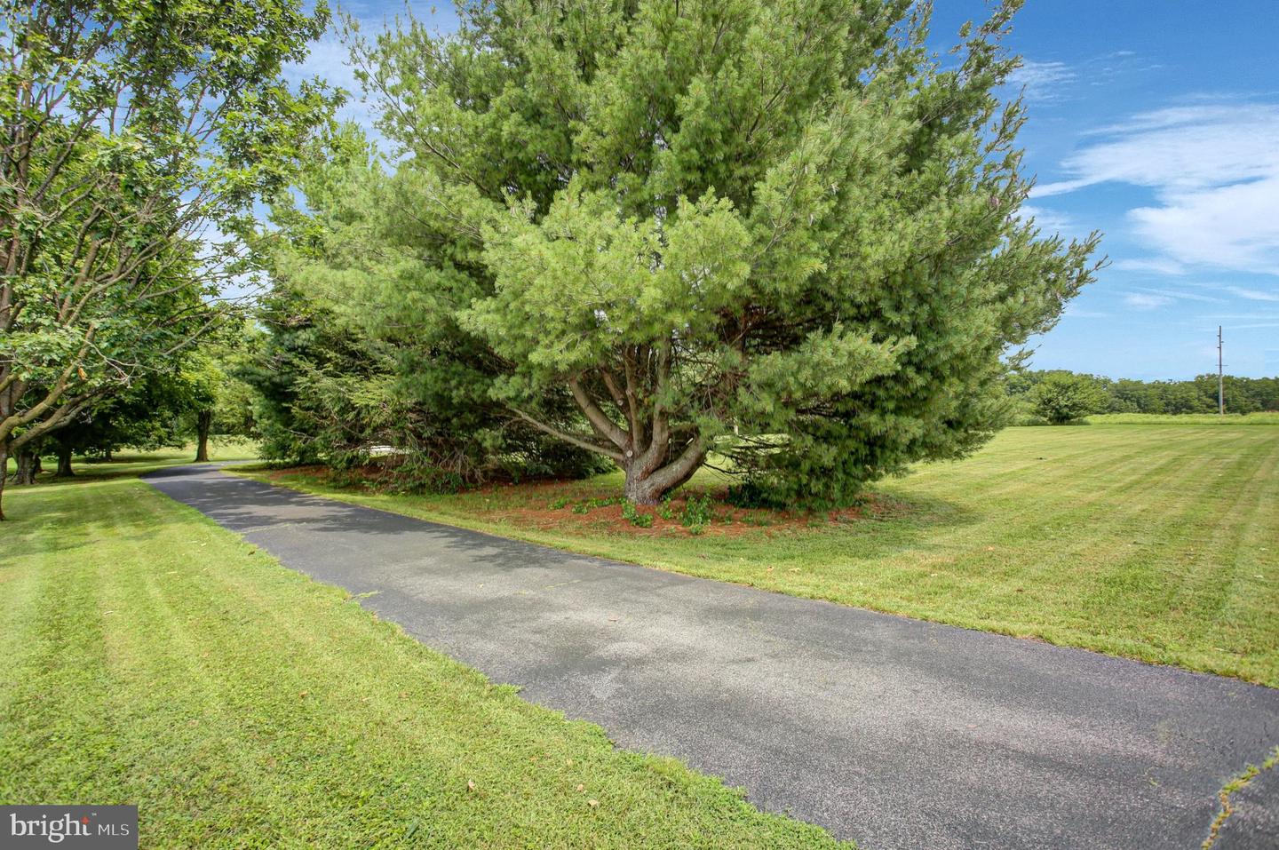 2424 Loop Road Property Photo 52