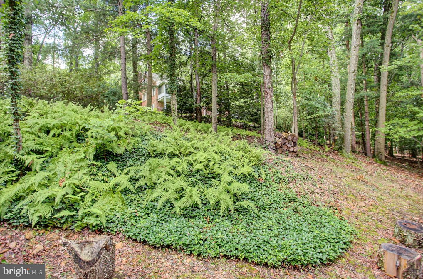 8140 Michaux Drive Property Photo 8