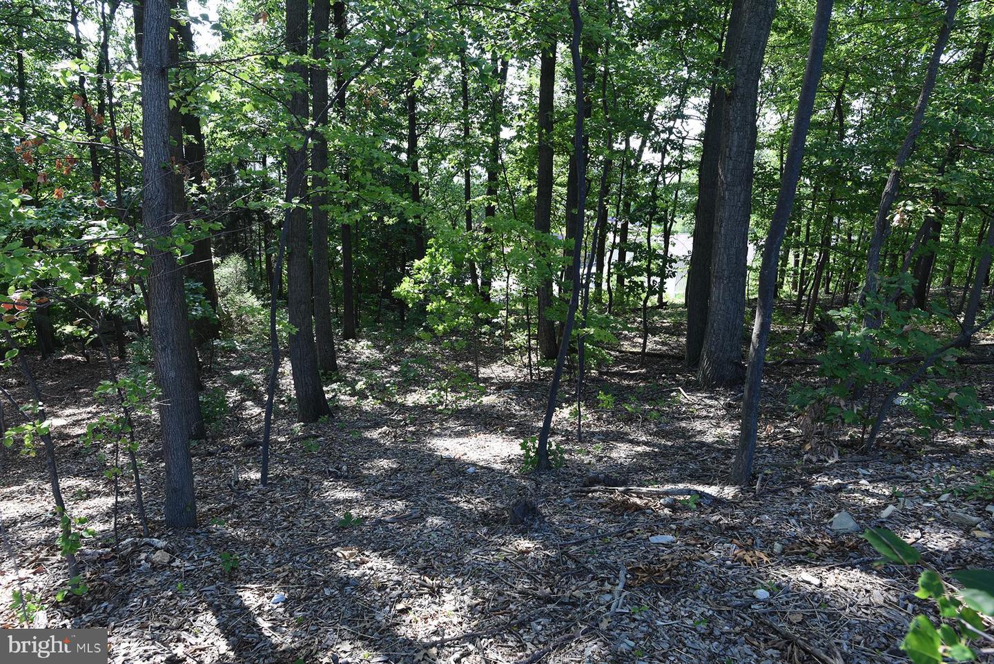 8652 Mormon Church Rd Property Photo 28