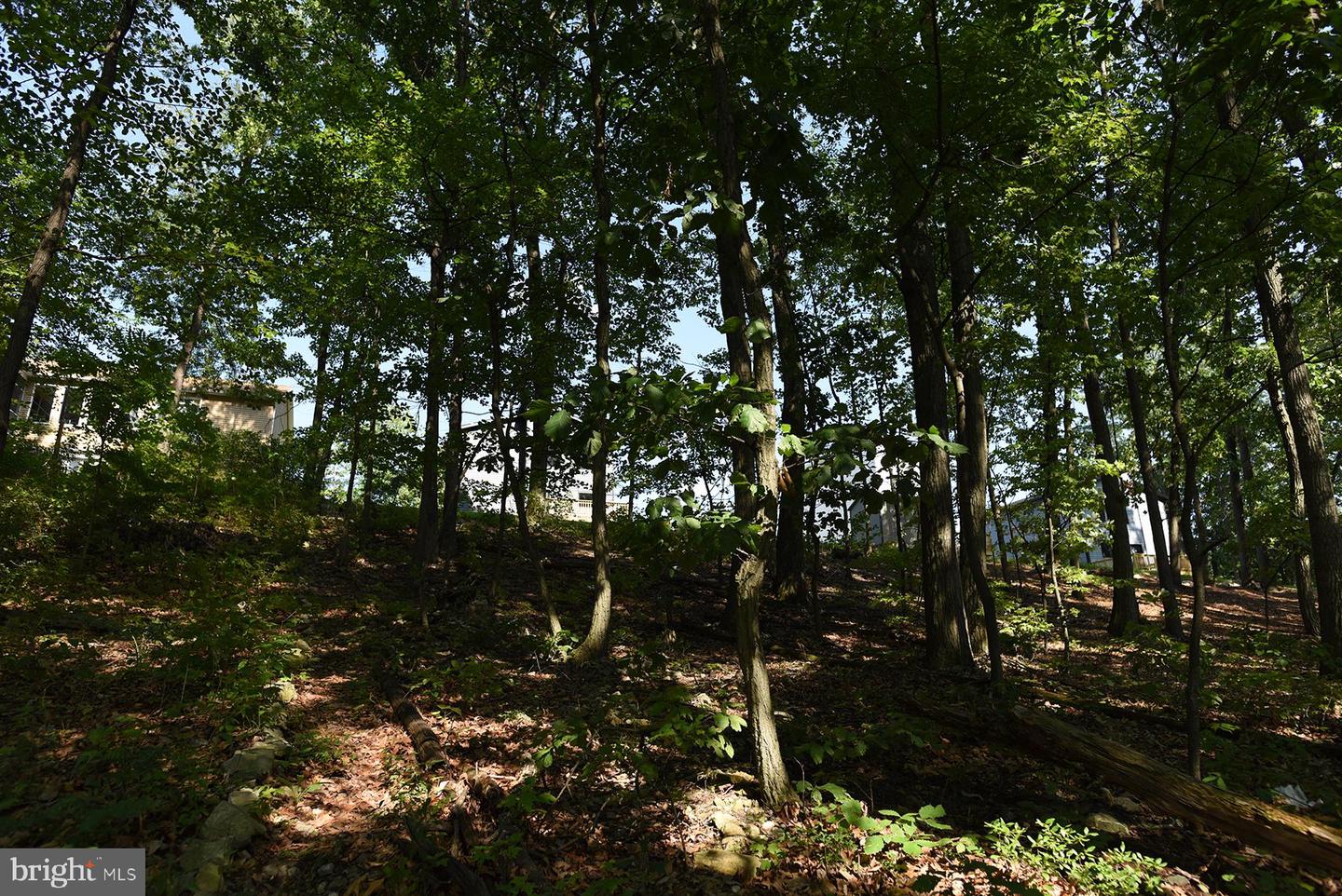 8652 Mormon Church Rd Property Photo 29