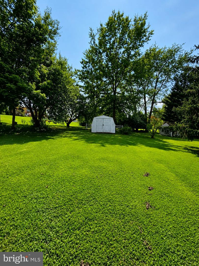 431 W. Sixth St. Property Photo 30
