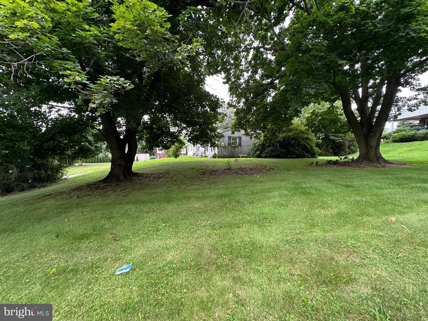 11539 Westminster Drive Property Photo 16