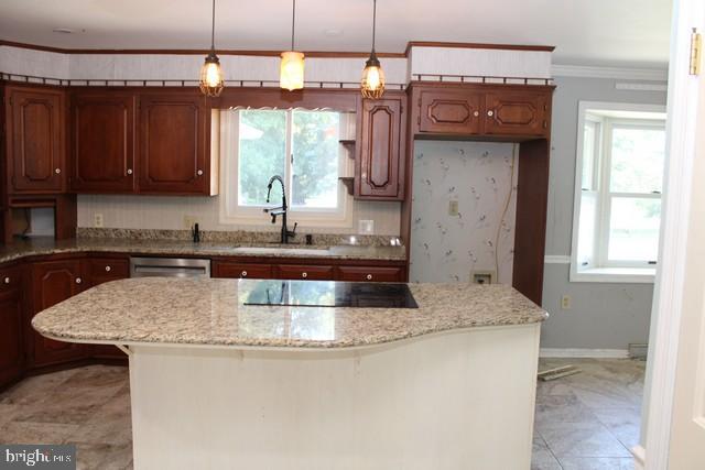 11715 Woodlea Dr Property Photo 3