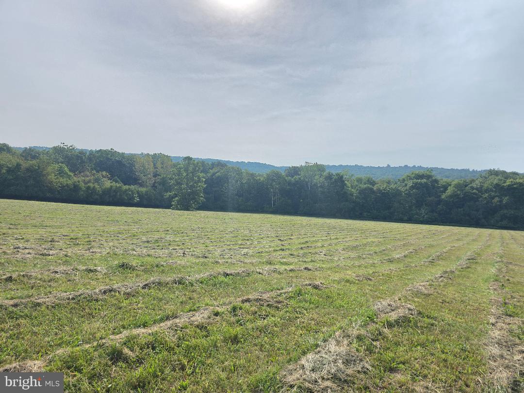 4 Birchwood Property Photo 1