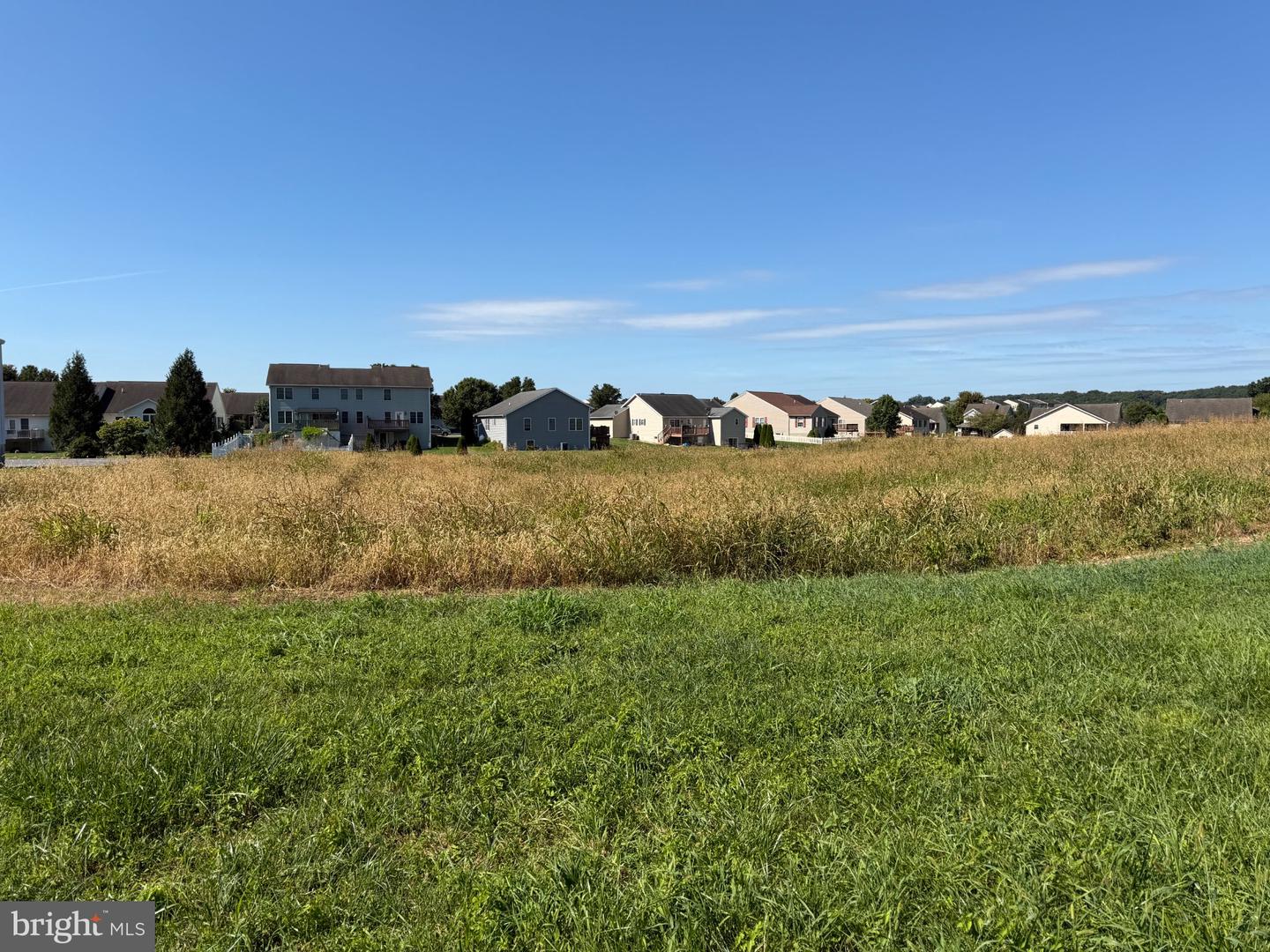 Tract 1: 1.42+/- Acres Benedict Dr Property Photo 8