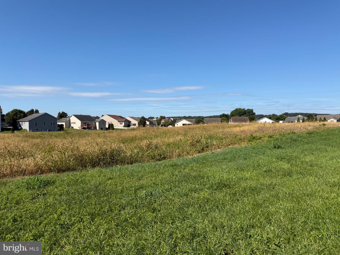 Tract 1: 1.42+/- Acres Benedict Dr Property Photo 9