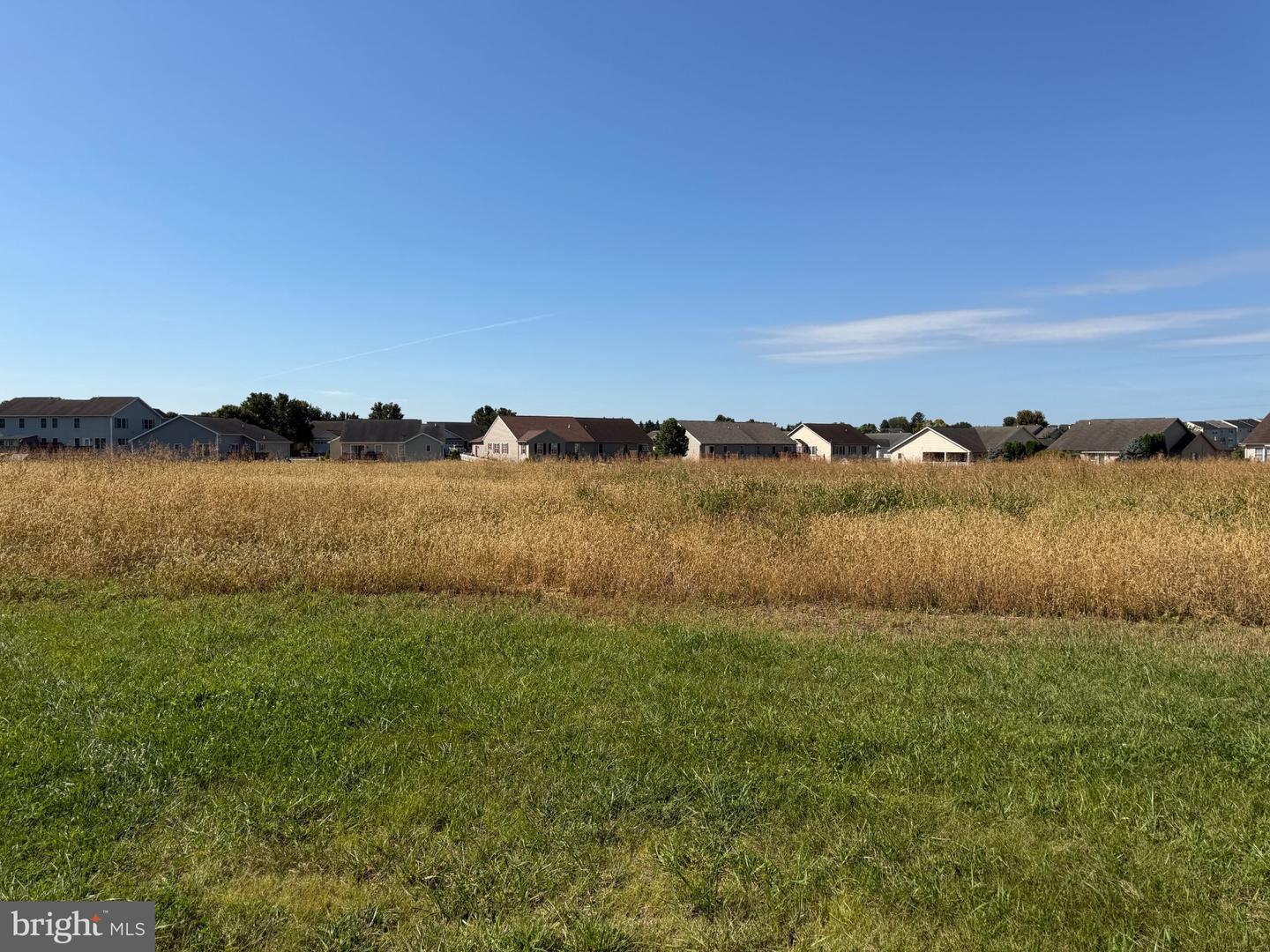 Tract 2: 1.47+/- Acres Benedict Dr Property Photo 4