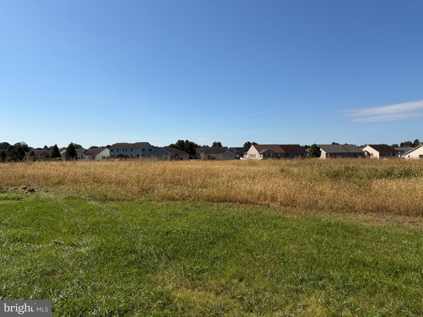 Tract 2: 1.47+/- Acres Benedict Dr Property Photo 5
