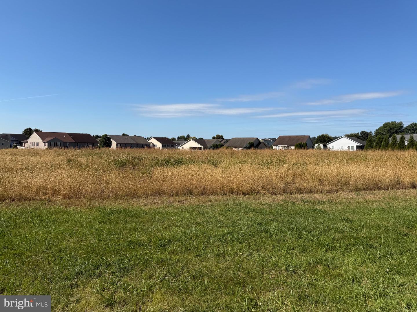 Tract 2: 1.47+/- Acres Benedict Dr Property Photo 6