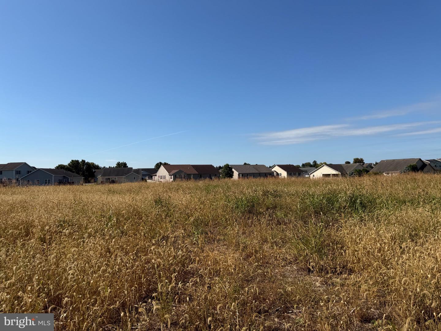 Tract 2: 1.47+/- Acres Benedict Dr Property Photo 7