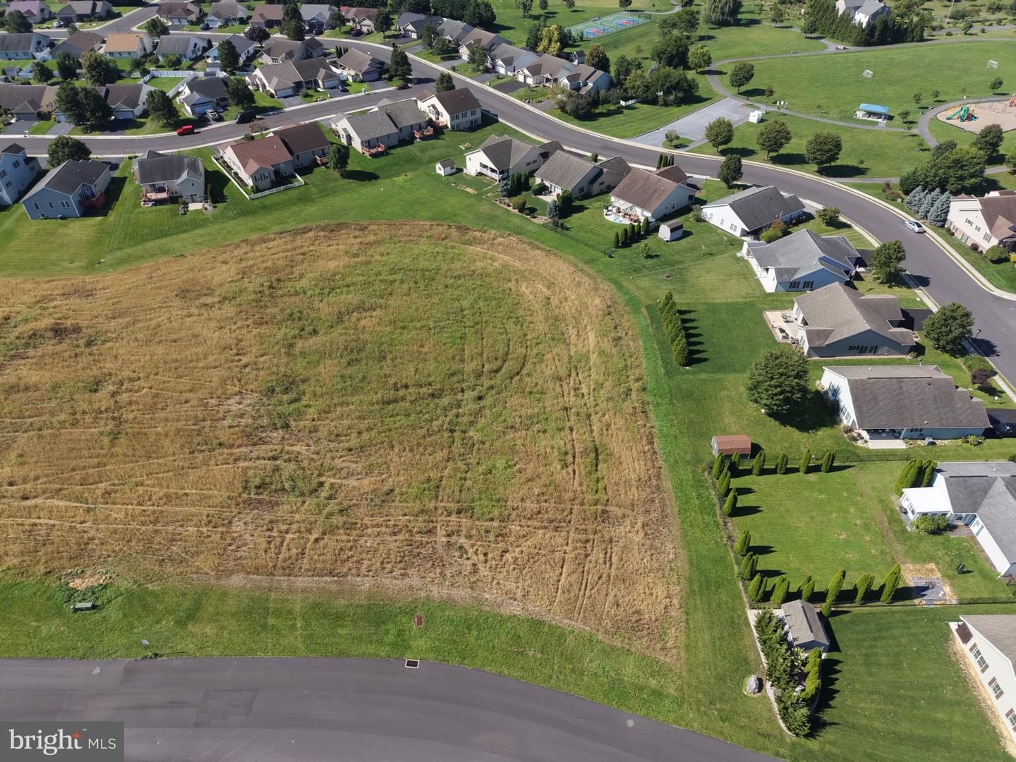 Tract 3: 1.59+/- Acres Benedict Dr Property Photo 6