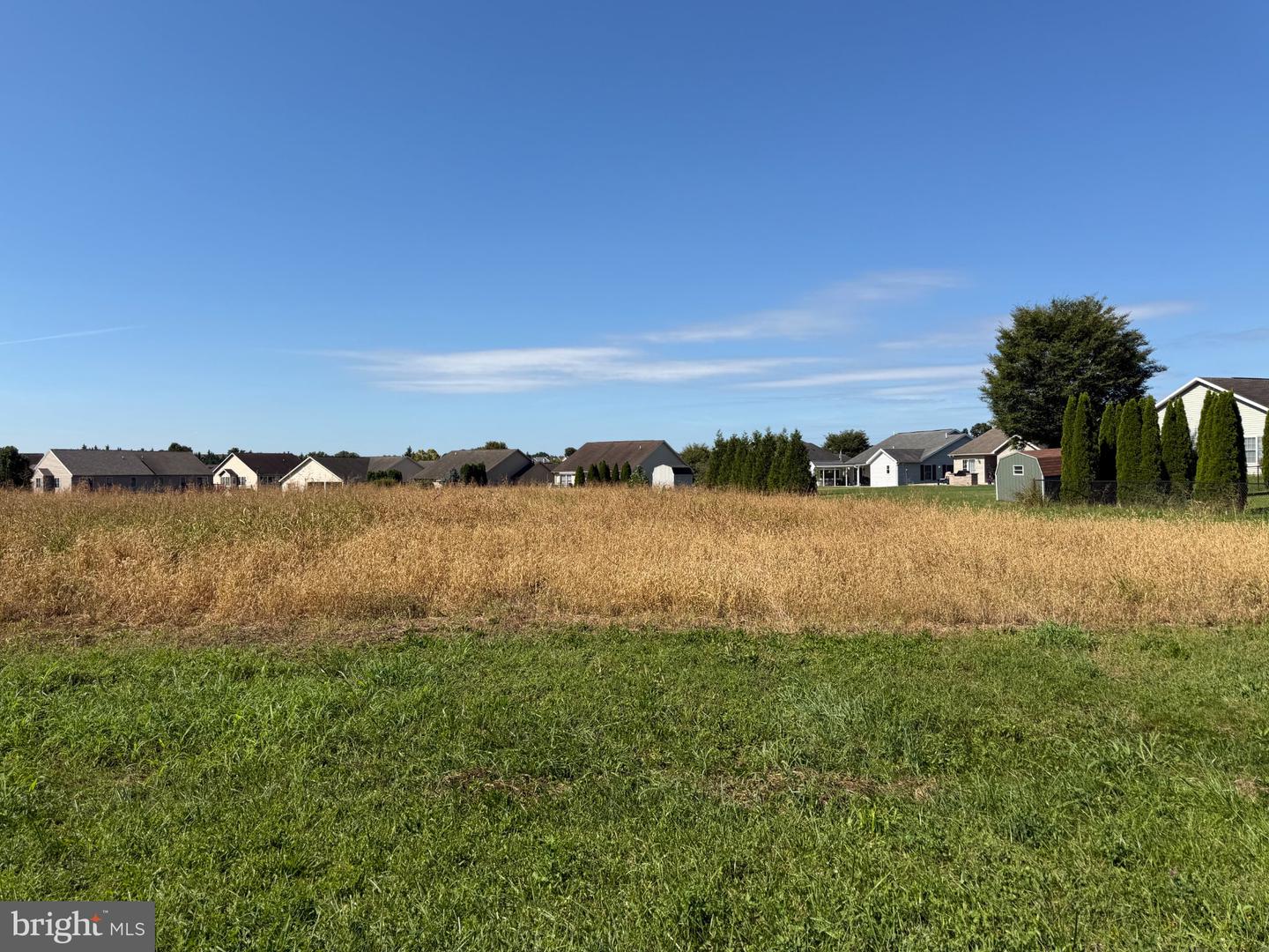 Tract 3: 1.59+/- Acres Benedict Dr Property Photo 8