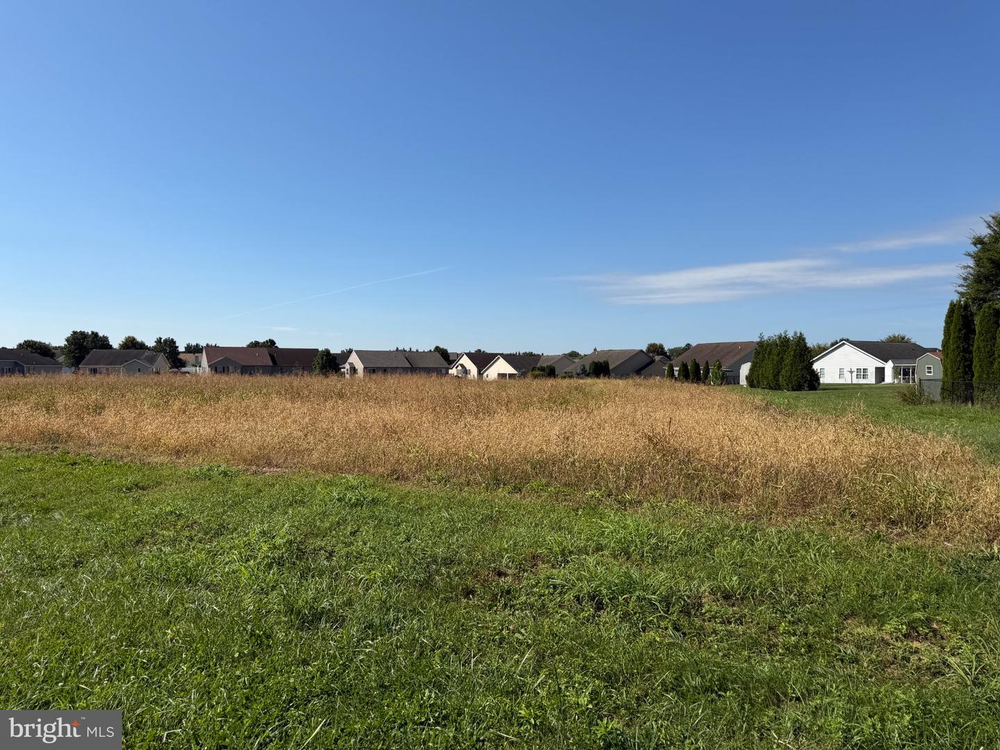 Tract 3: 1.59+/- Acres Benedict Dr Property Photo 9