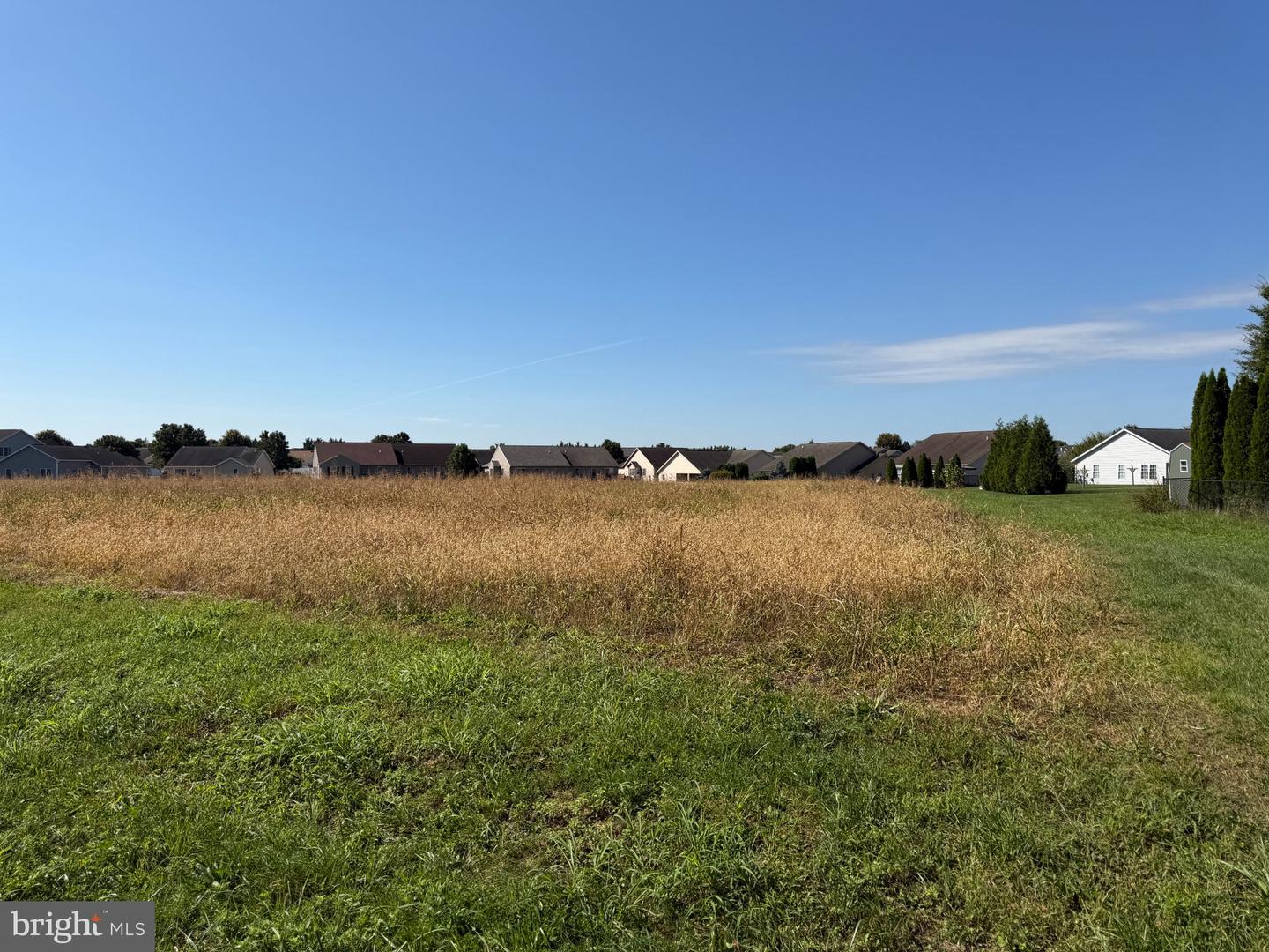 Tract 3: 1.59+/- Acres Benedict Dr Property Photo 10