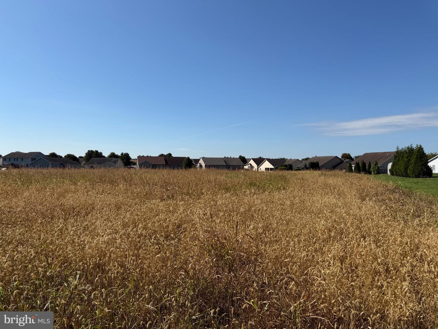 Tract 3: 1.59+/- Acres Benedict Dr Property Photo 11