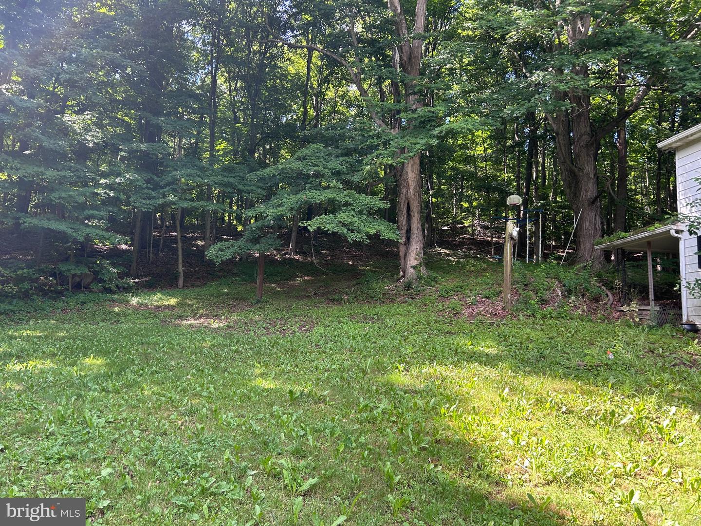 17738 Amberson Rd Property Photo 39