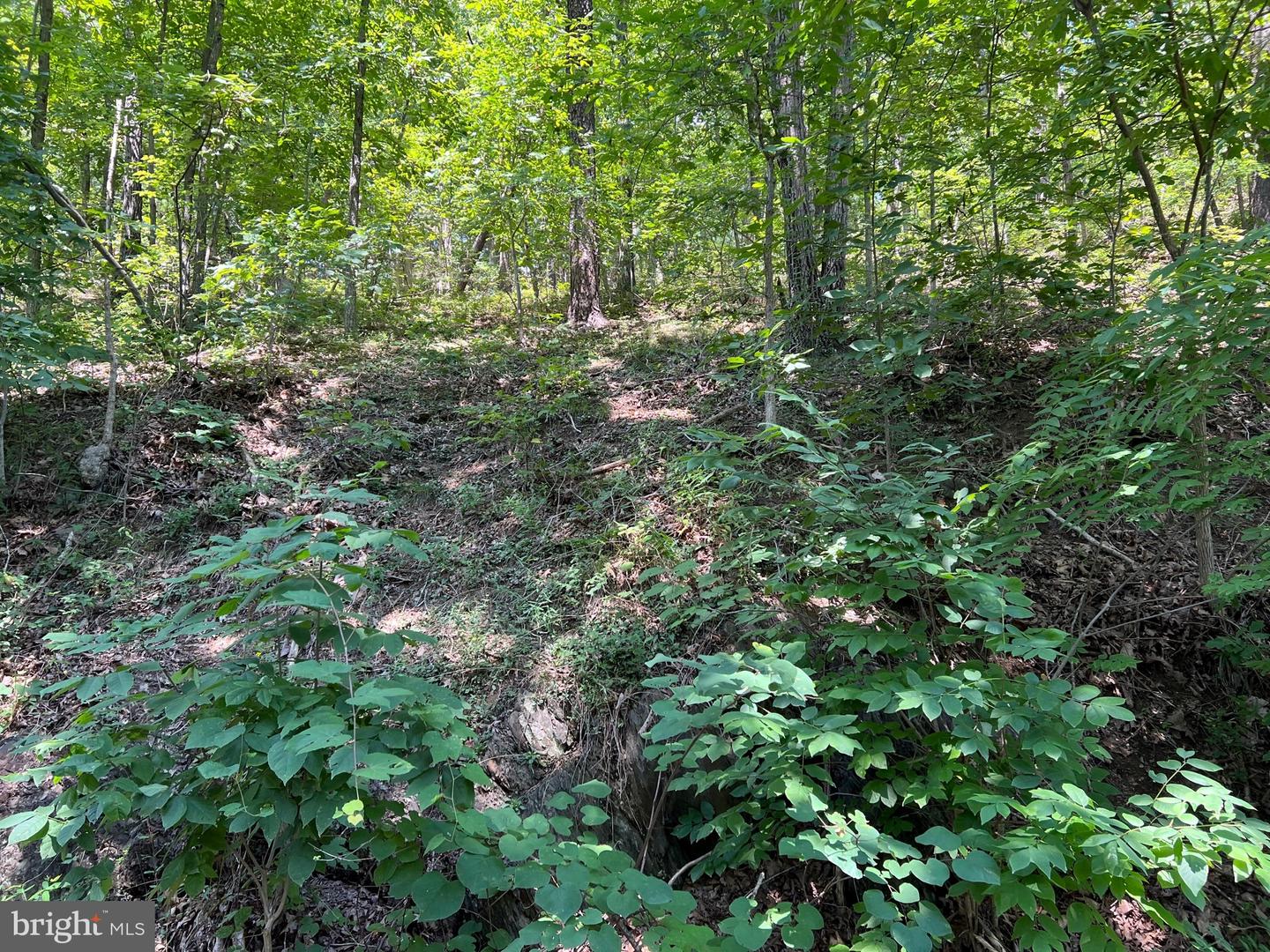4008 Hill Rd Property Photo 1