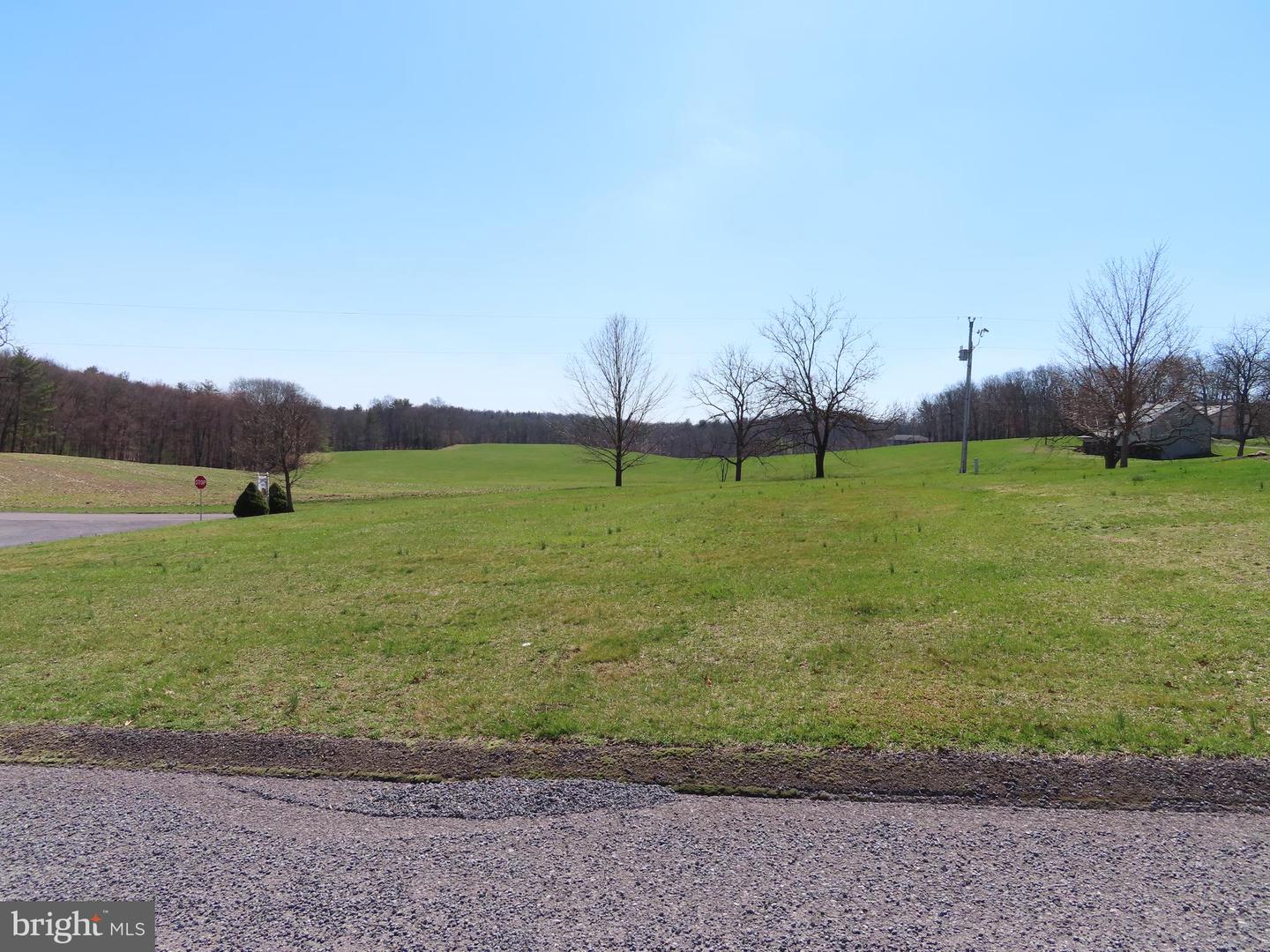 Lot #20 Village Lane Property Photo 6