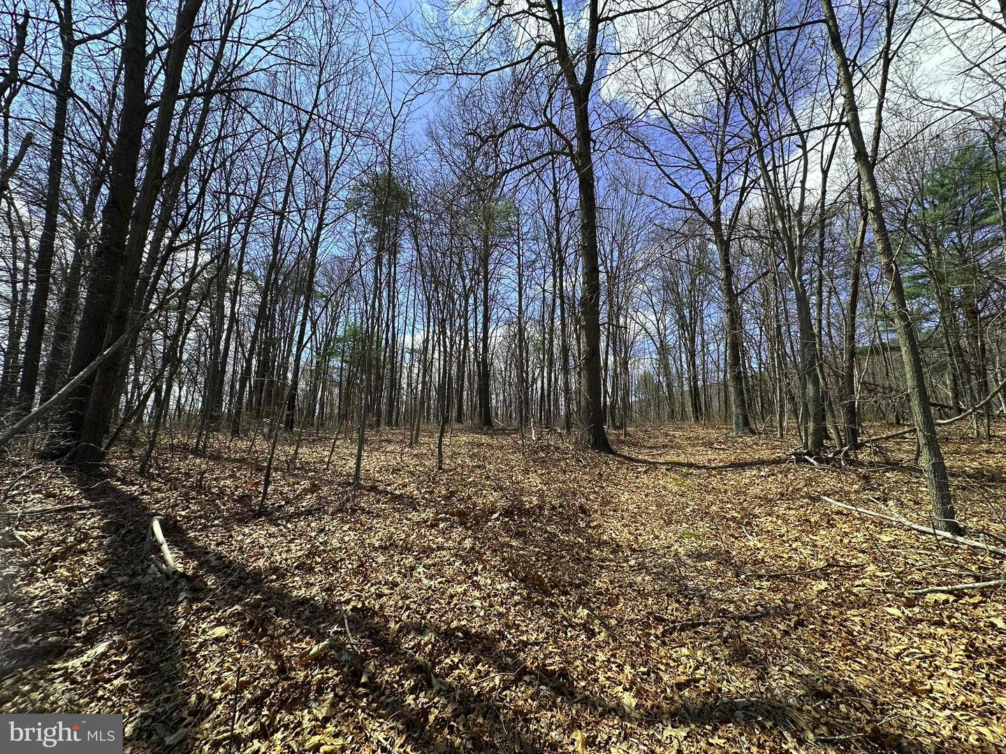 Off Rice Road Property Photo 1