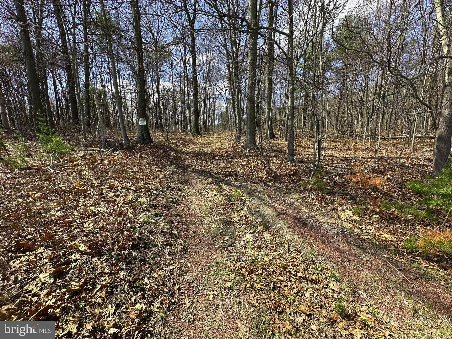 Off Rice Road Property Photo 2