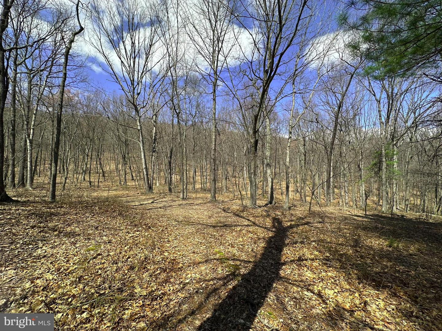 Off Rice Road Property Photo 3