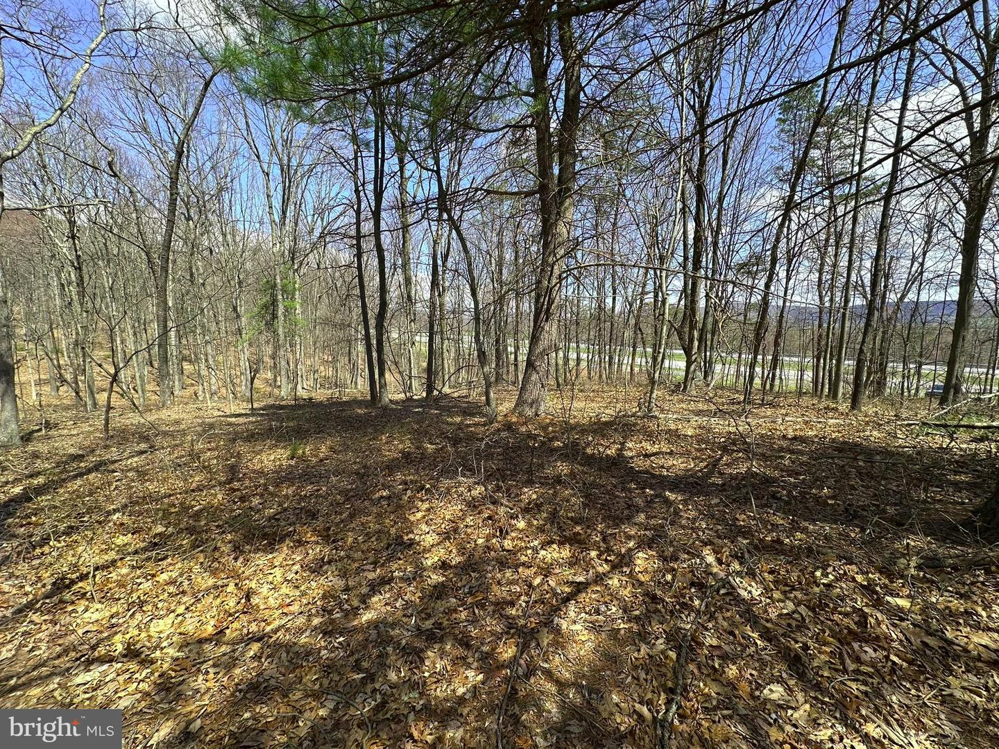 Off Rice Road Property Photo 4
