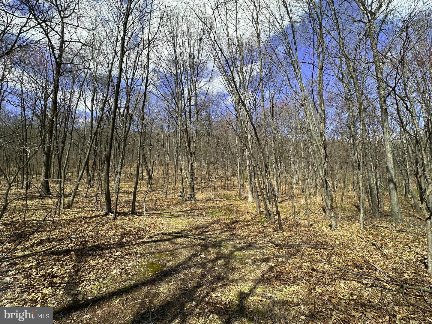 Off Rice Road Property Photo 5