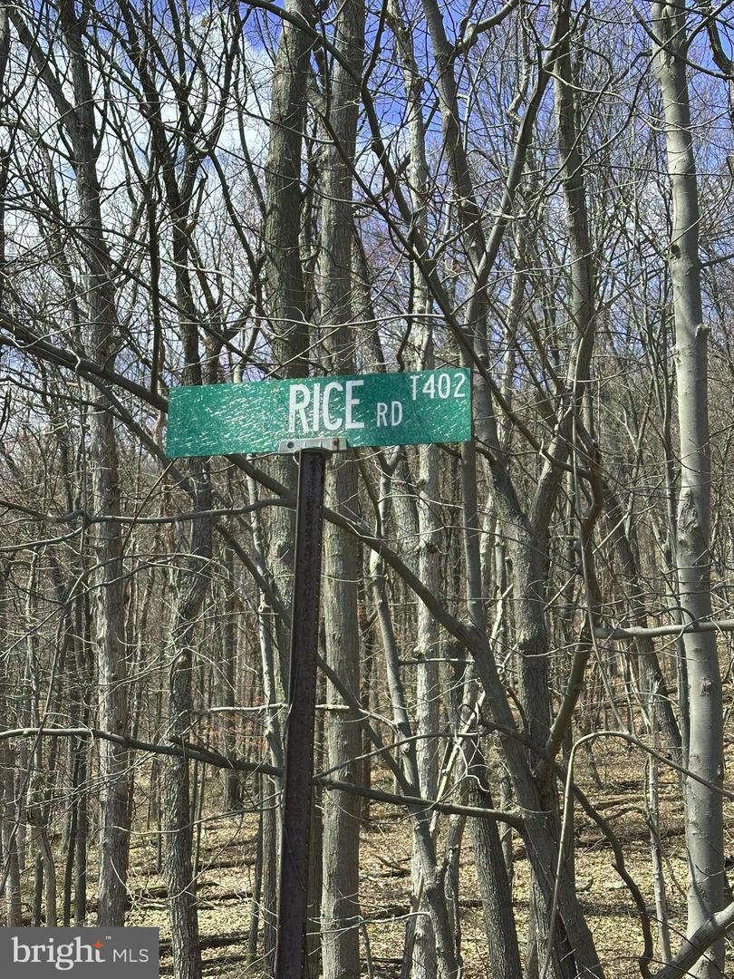 Off Rice Road Property Photo 7