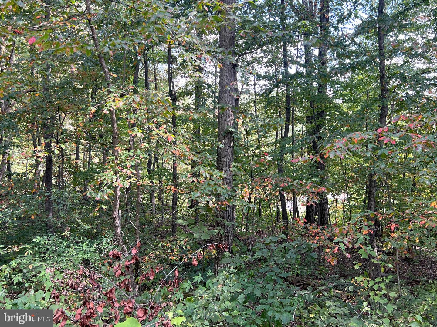 Lot 31 Woodlawn Drive Property Photo 2