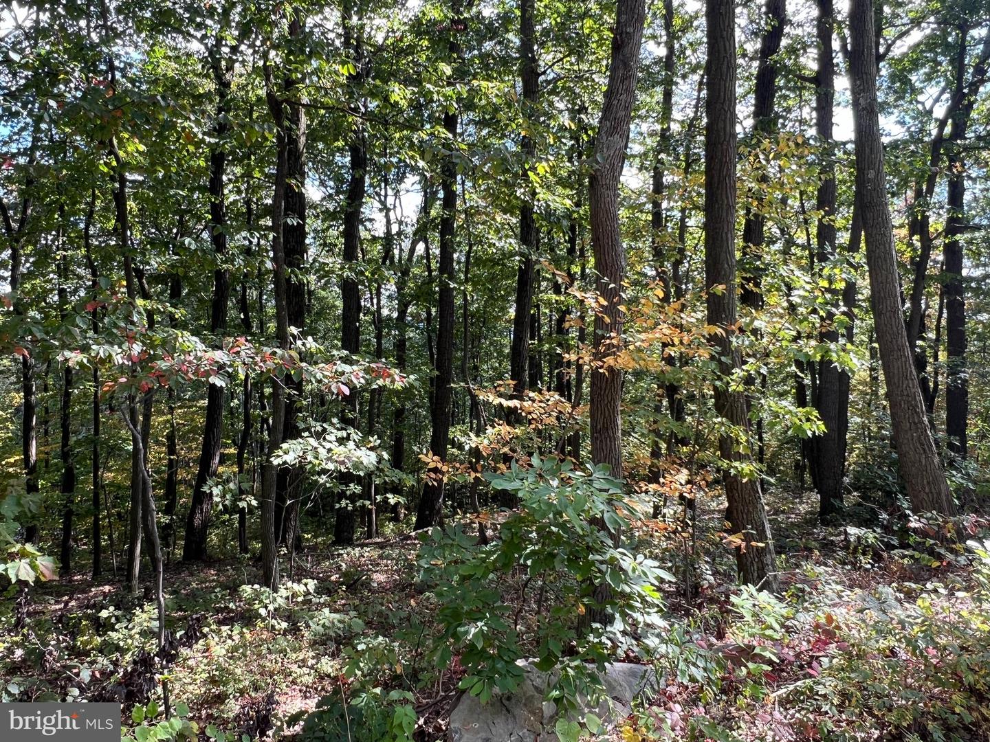 Lot 31 Woodlawn Drive Property Photo 3