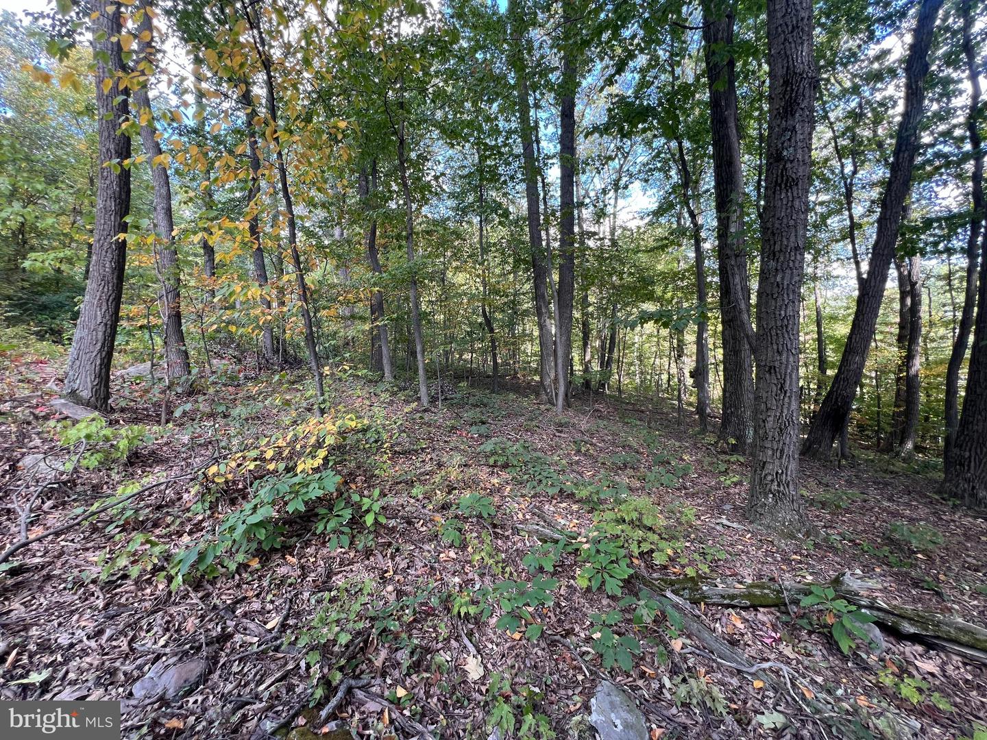 Lot 31 Woodlawn Drive Property Photo 5