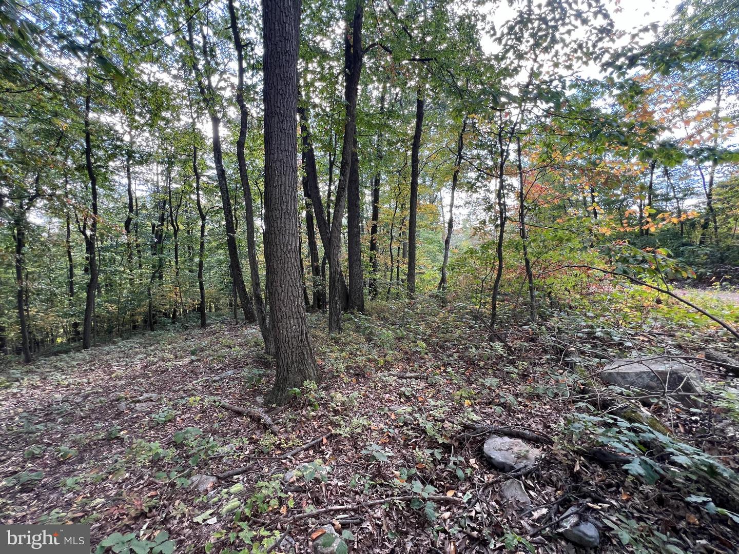 Lot 31 Woodlawn Drive Property Photo 6