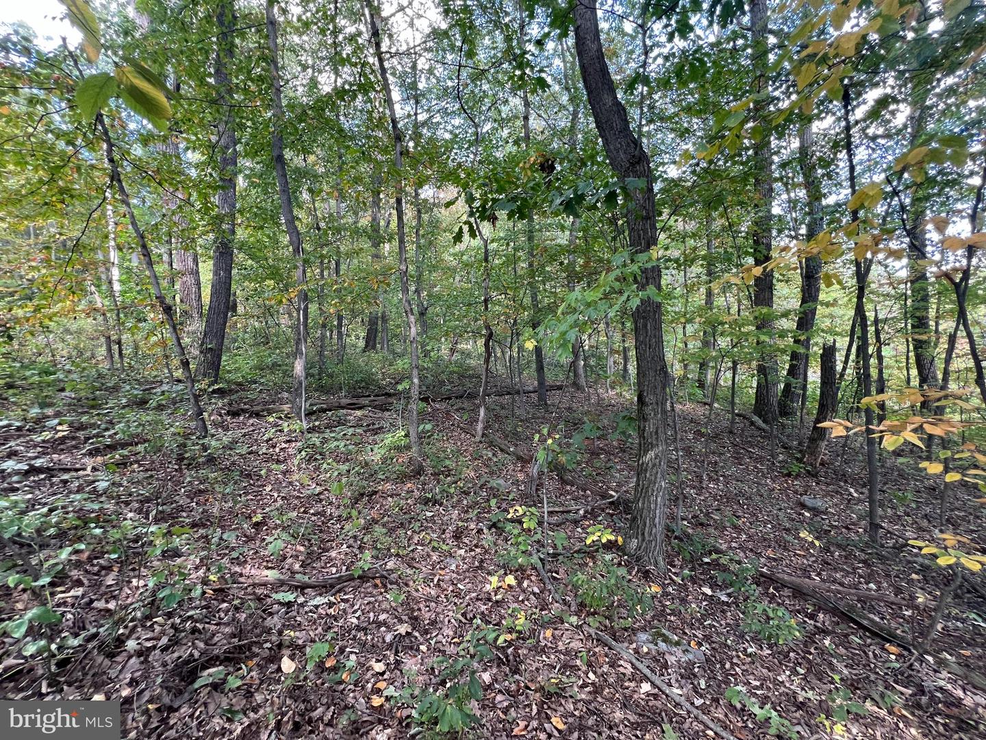 Lot 31 Woodlawn Drive Property Photo 7