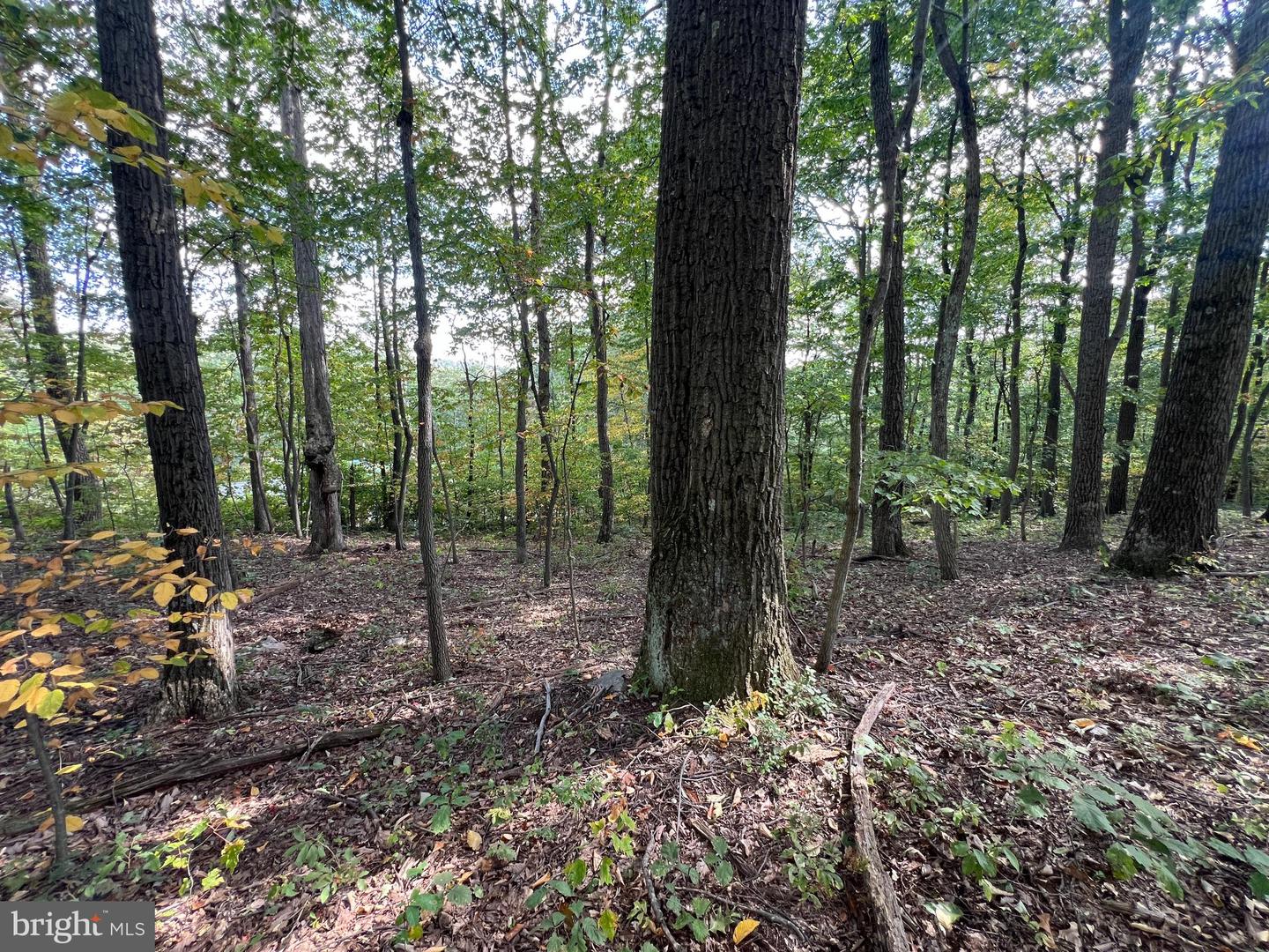 Lot 31 Woodlawn Drive Property Photo 8